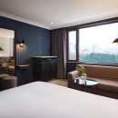 글래드골프 이미지