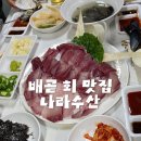 쌈채우리 | 배곧 대방어회 맛집 제철회 전문 나라수산 내돈내산 후기