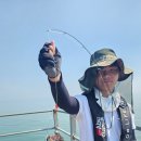 덕진호 좌대낚시터 이미지