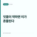 슬기로운군산치과의원 | 이가 튼튼해도 잇몸이 약하면 흔들린다, 뿌리를 받치는 관리법
