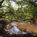 오봉산 주차장 이미지