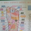 아로마치유센타