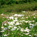 풍경이 머무는 곳 이미지