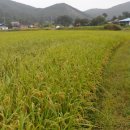 산너머강촌 이미지