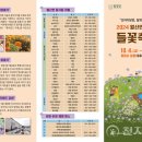 월산면 용구산 들꽃축제 이미지