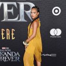 Black Panther Wakanda Forever 이미지