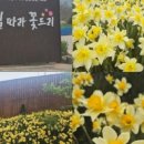 모장경로당 네이버블로그