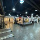 클린히트 복싱짐 이미지