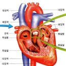 코넬비뇨의학과의원 이미지