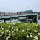 세종호수공원 이미지