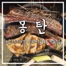 몽탄1