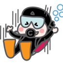 제주스쿠버스쿨 스쿠버다이빙 이미지
