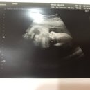 미래산부인과의원 이미지