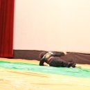 천룡합기도 이미지