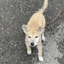 타이어뱅크청주대리점 이미지