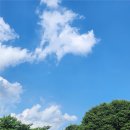 포천PC | 포천 들기름 막국수 녹두전 맛집 &lt;까막골동치미막국수&gt; 내돈내산 솔직 후기