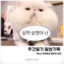 주간일기 일상기록 01.23~ 01.29