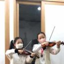 연지바이올린