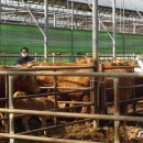 옥천체육시설사업소 이미지