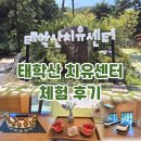 힐링여행 천안 태학산 치유센터 방문 후기