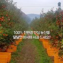 성재농장 이미지