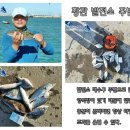 영등 발전소 네이버블로그