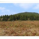 남원읍-1 이미지