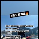 여운자동차정비 네이버블로그