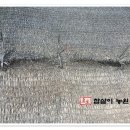 한땀수선 이미지