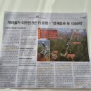 장수 게임랜드 | 오색그린야드호텔 오색탄산온천에서 즐기는 아이들과의 여행