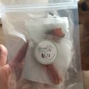 멍이와 냥이의 부엌 | [애견간식]수제애견간식 멍이와냥이의 부엌 간식들 체험했어요~