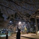 달빛맥주 | <송파술집> 가성비,분위기 모두 잡은 달빛경성맥주🌙 석촌호수점 솔직후기