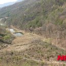 사정1리 이미지