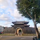 용성 | 수원 통닭거리에서 즐기는 용성통닭 본점, 왕갈비 통닭 솔직후기