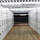 (주)캠프통포레스트 이미지