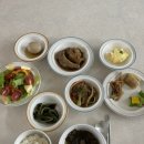 마터피아 이미지