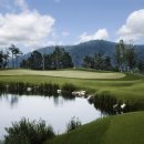 파인밸리 이미지