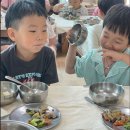 자연사랑어린이집 | 서초 함께크는 공동육아 어린이집 장단점 후기, 맞벌이 가정 우리 아이에게 정말 맞을까?