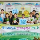 546 이미지