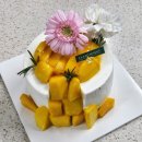 신세계농장 | 대구 신세계백화점 시즈니크 망고농장와르르 후기 | 어버이날 케이크로 만족했던 생망고 케이크