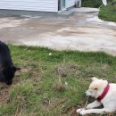 뉴환상민박 이미지