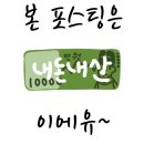 돼지꿈꾸던날 이미지