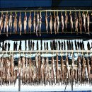 수목화를 그리는 송정마을 이미지