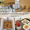 쉼 | 서문시장 카페 추천 힐링 가득 디톡스 족욕 패키지 쉼족욕카페 후기