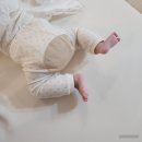 준비물 | 퍼기 큐브 도마 흡착식판 | 테팔냄비, 도루코 칼, 실리팟 조리도구 납작찜기 | 로코유 이유식...