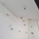 진주어린이박물관 이미지