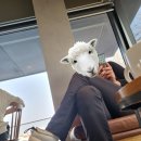 하얀신발 | 푸마 터프 테라 하이 화이트 커플화 후기│사이즈 꼭 크게 사세요! 소금빵 신발🤍