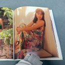 coco(코코) 이미지