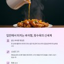 행정죽전로 이미지