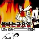 멋짐 Daum카페
